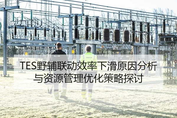 TES野辅联动效率下滑原因分析与资源管理优化策略探讨