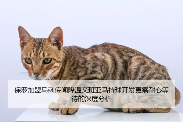bao-luo-jia-meng-ma-ci-chuan-wen-jiang-wen-wen-ban-ya-ma-chi-qiu-kai-fa-geng-xu-nai-xin-deng-dai-de-shen-du-fen-xi-2-636.jpg