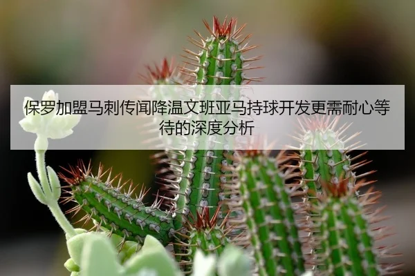 保罗加盟马刺传闻降温文班亚马持球开发更需耐心等待的深度分析