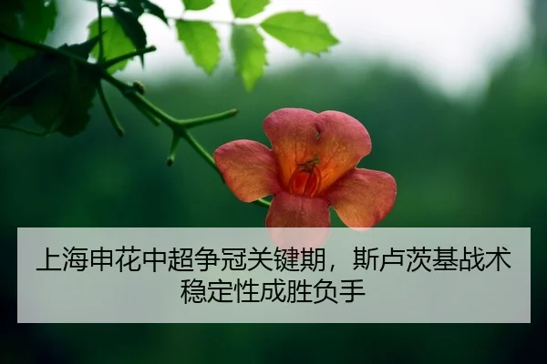 shang-hai-shen-hua-zhong-chao-zheng-guan-guan-jian-qi-si-lu-ci-ji-zhan-shu-wen-ding-xing-cheng-sheng-fu-shou-2-358.jpg