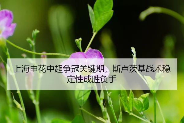 shang-hai-shen-hua-zhong-chao-zheng-guan-guan-jian-qi-si-lu-ci-ji-zhan-shu-wen-ding-xing-cheng-sheng-fu-shou-3-820.jpg