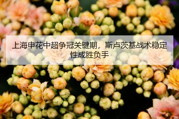 shang-hai-shen-hua-zhong-chao-zheng-guan-guan-jian-qi-si-lu-ci-ji-zhan-shu-wen-ding-xing-cheng-sheng-fu-shou-1-264.jpg