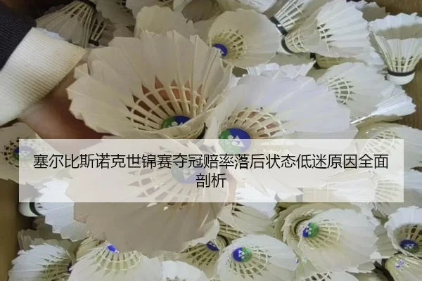 sai-er-bi-si-nuo-ke-shi-jin-sai-duo-guan-pei-lv-luo-hou-zhuang-tai-di-mi-yuan-yin-quan-mian-pou-xi-2-525.jpg