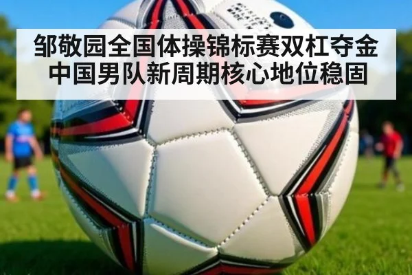 邹敬园全国体操锦标赛双杠夺金 中国男队新周期核心地位稳固